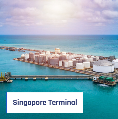 screenshot 2026 02 12 182744