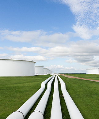 plains bodycontent big 11